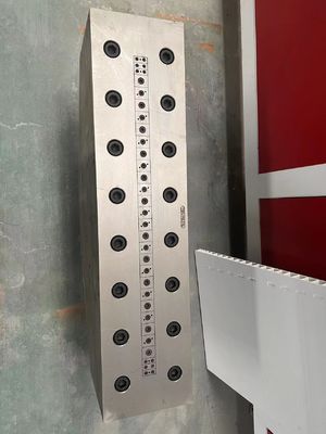 1 홀리 PVC 플라스틱 진압 캘리브레이터 PVC 문 패널 폼을 위해 다이 주문 크기로