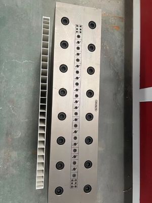 1 홀리 PVC 플라스틱 진압 캘리브레이터 PVC 문 패널 폼을 위해 다이 주문 크기로