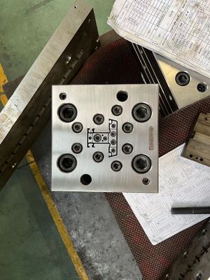 전문 PVC 프로파일 창문 외출 Mold 가정용 제품 곰팡이